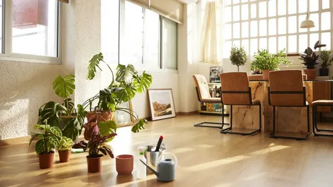 Best Natural Ventilation Strategies for Healthy Interiors