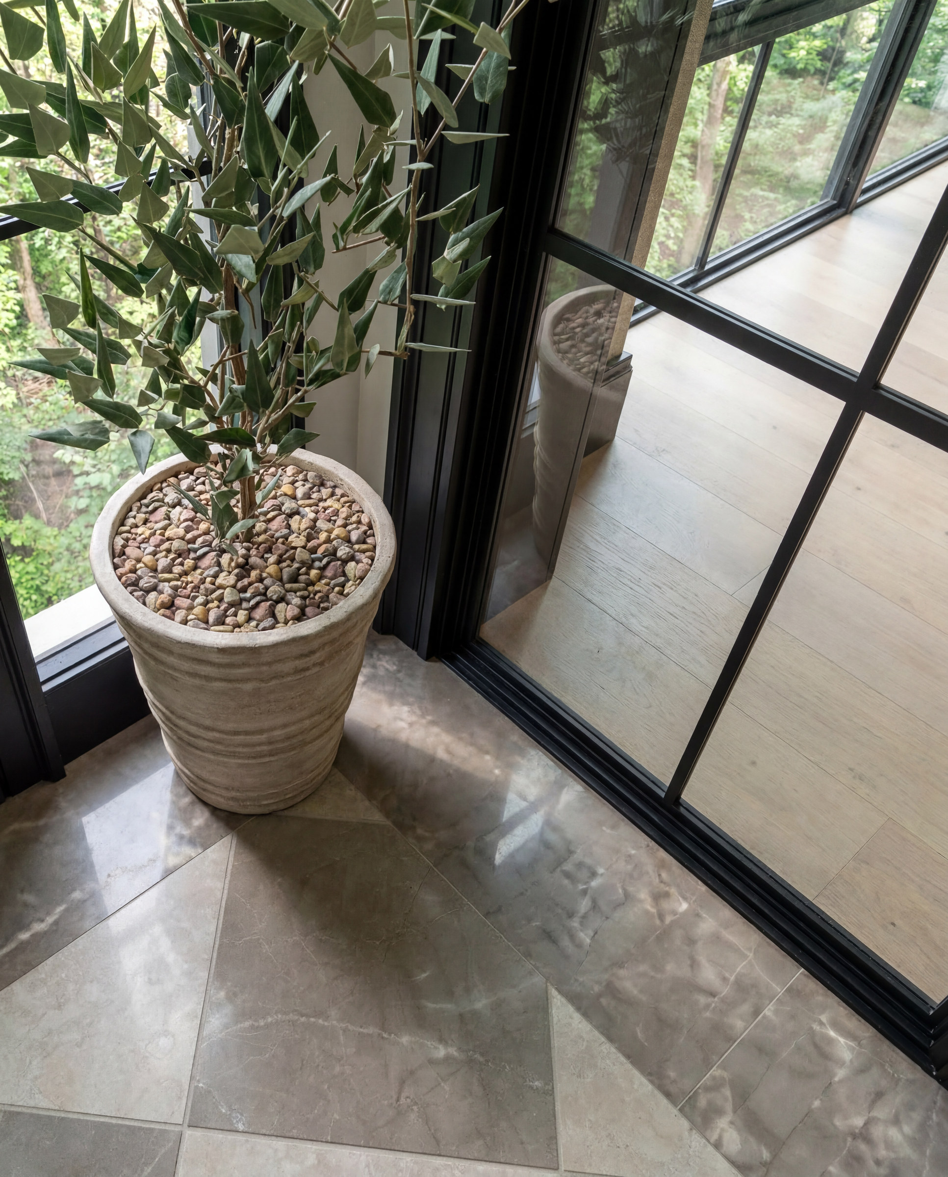 Sixth Lane potted olive at a black steel window — Studio Kimi interior design in Milton